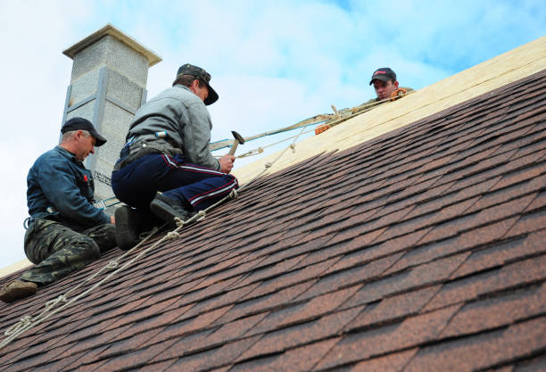 Best Roof Gutter Cleaning  in Tiltonsville, OH